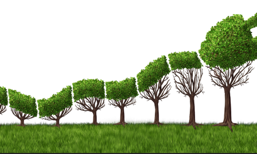 能源勢(shì)動(dòng)：電力行業(yè)的碳中和該如何實(shí)現(xiàn)？